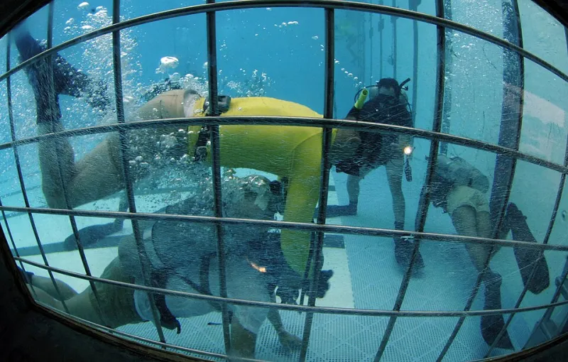 From Frozen to Fearless: A Diver's Guide to Conquering Underwater Anxiety