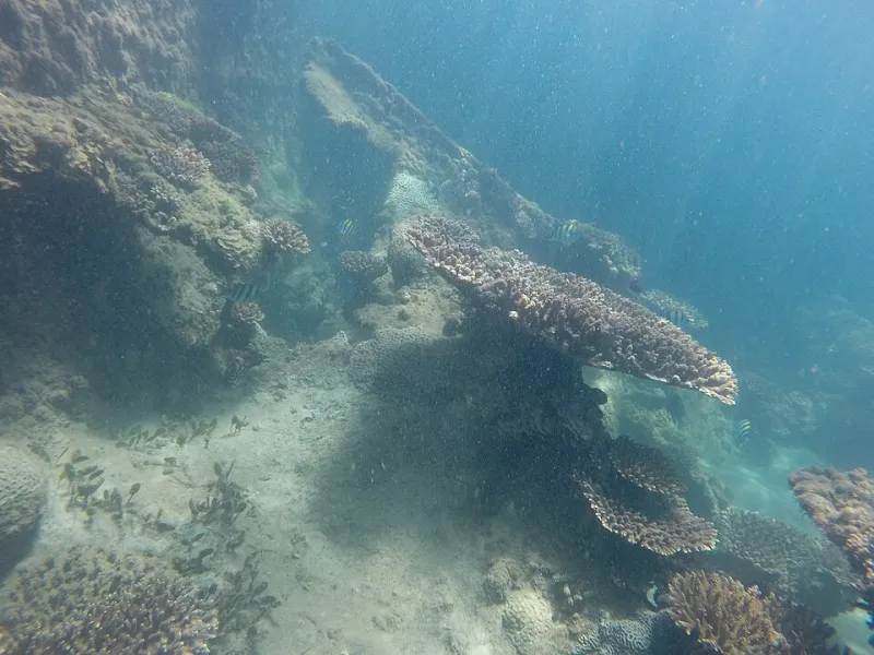 Off the Beaten Reef: 7 Under-the-Radar US Dive Sites Under 100 Feet That Are Absolutely Worth the Trip