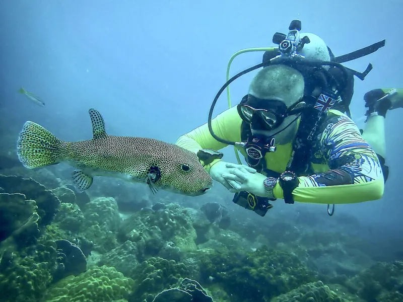 Chum in the Water, Elephant in the Room: The Real Story Behind Florida's Baited Shark Dives