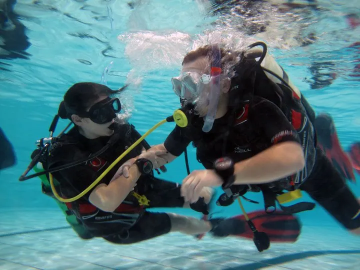 The Unwritten Rules of the Dive Boat: How Not to Be That Diver