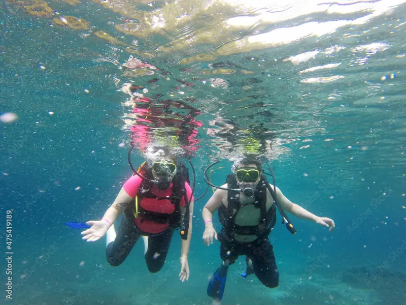The Plus-One Pipeline: Five Easy Dives That Turn 'I'm Not Getting in That Water' Into 'When's the Next Trip?'