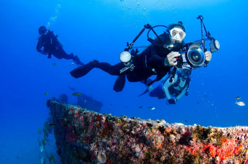 72 Degrees Forever: Why Florida's Springs Are the Easiest Dive Trip You'll Ever Plan