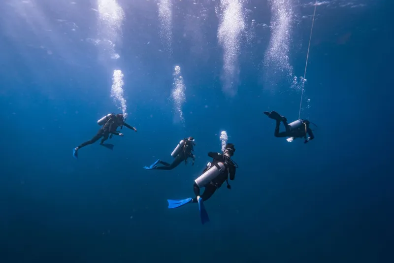 Showing Up Alone, Leaving With a Crew: The Quiet Magic of Getting Certified Solo