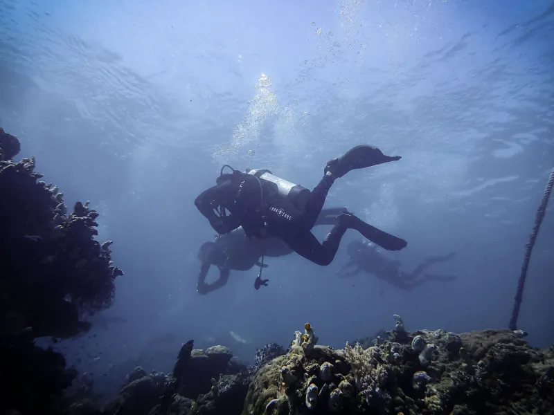 Friday to Sunday: The 60-Hour Dive Trip That Feels Like a Real Vacation