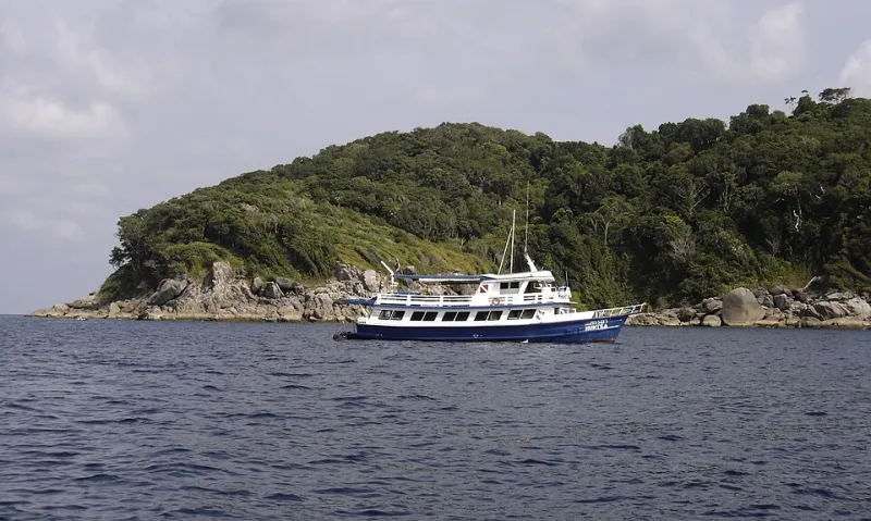 A Field Guide to the Liveaboard Menagerie: Eight Divers You Will Absolutely Share a Boat With